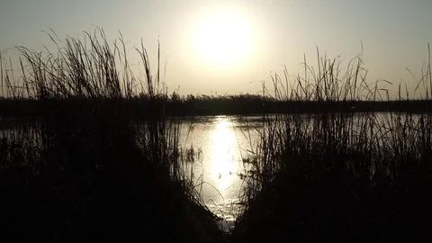 Sunset on river Video stock 82480679
