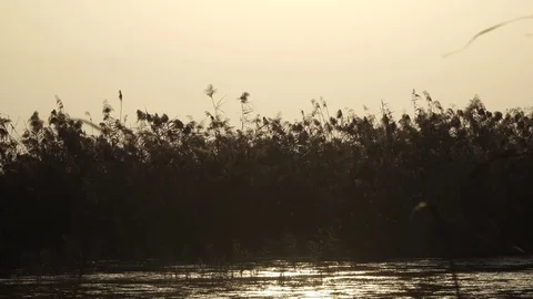 Sunset on river Video stock 82480714