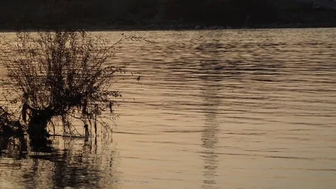 Sunset on river Video stock 82480780