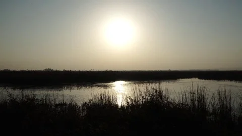 Sunset on river Video stock 82480805