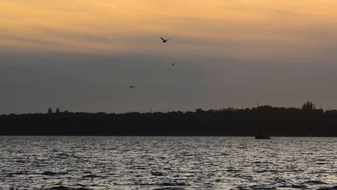 Sunset on the river Stock Footage 90094498