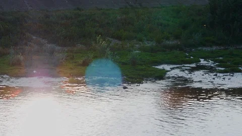 Sunset river Stock Footage 118672926