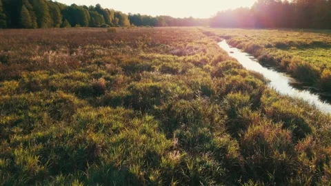 Sunset with river Stock Footage 260630233