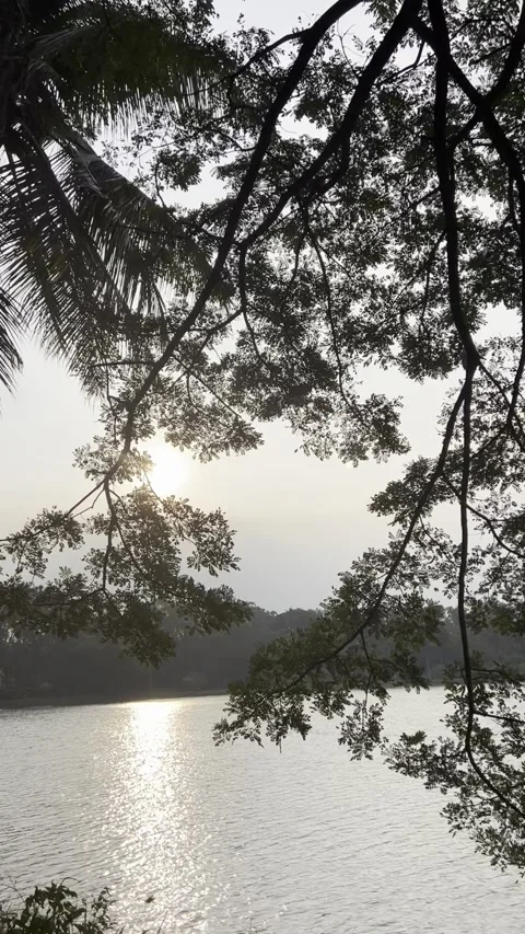 Sunset on the river Stock Footage 295527664