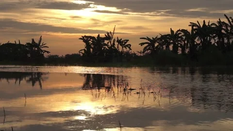 Sunset on the river Video stock 330209688