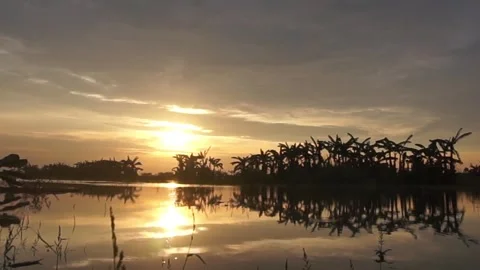 Sunset on the river Stock Footage 330209721