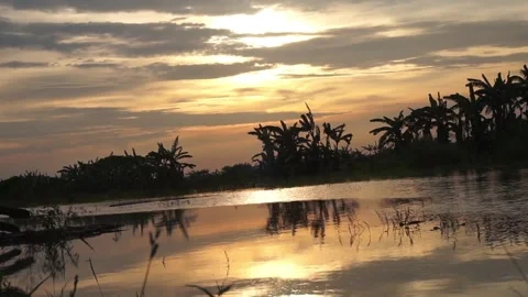 Sunset on the river Stock Footage 330209733