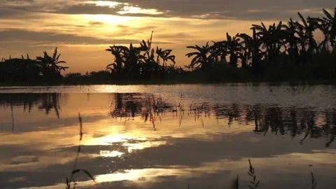 Sunset on the river Stock Footage 330209735