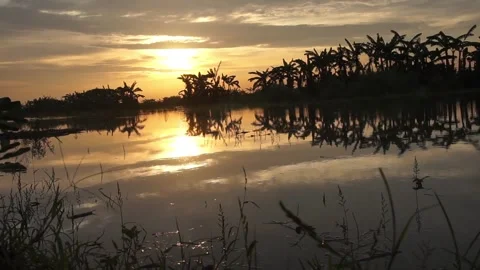 Sunset on the river Stock Footage 330209763