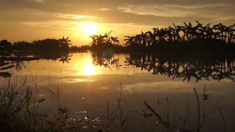 Sunset on the river Video stock 330209764