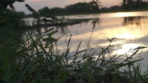 Sunset on the river Stock Footage 330209770