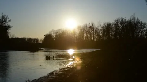 Sunset at river huettinger altarm Stock Footage 304729909