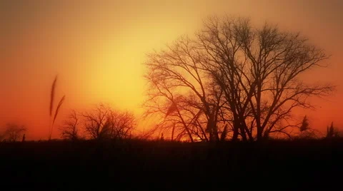 Sunset on the river - landscape series Video stock 60216613