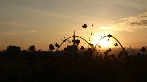 A sunset river with the mountain and trees Stock-Footage 303550864