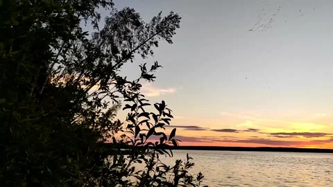Sunset on the river or lake view through the trees , and flying insects 스톡 동영상 203224649