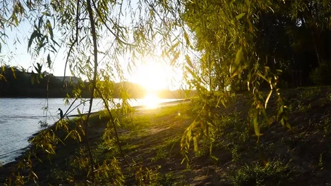 Sunset by River Panning Shot through Tree Branches and Leaves 스톡 동영상 97537123