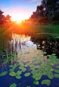 Sunset on river Stock Photos