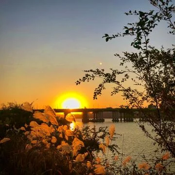 Sunset at the river Stock Photos