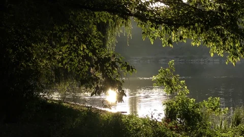 Sunset river scenic peaceful background Video stock 74655592