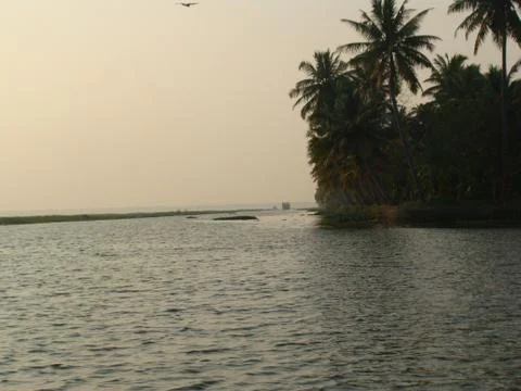 Sunset in River side with Reflection on water Coconut tree area Stock-Fotos