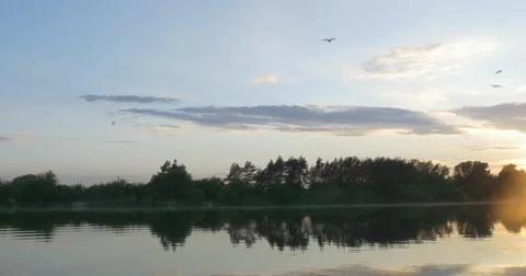 Sunset on The River, Silhouettes of Trees And Sky Reflection in Water Stock Footage 50857183