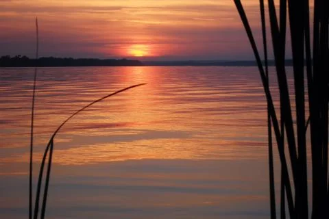 Sunset on the river in summer Stock Photos