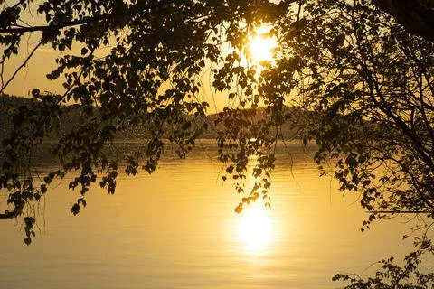 Sunset on the river through the trees Stock Photos