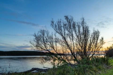 Sunset River Tree Bush Stock Photos
