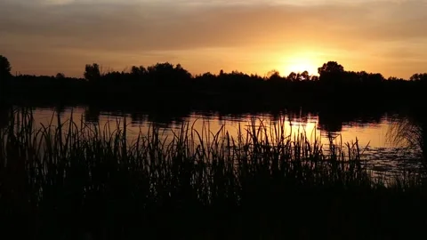 Sunset on the River in Ukraine, Kiev region in June of the summer. Natural sound Stock Footage 134783053