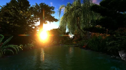 Sunset on river,colorful vegetation Stock Footage 86231861