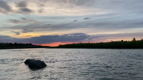 Sunset at the riverside Stock Footage 137251427