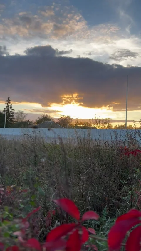 Sunset before the road Video stock 224557629