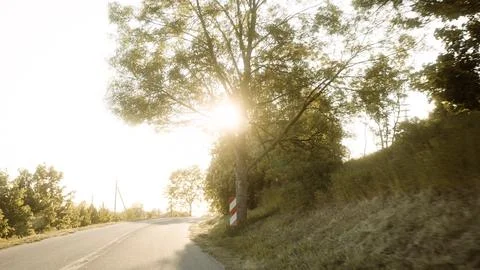 Sunset Road: Path Through Trees Leading to Distant Sun Stock Photos