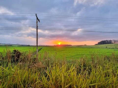 Sunset by the road Stock Photos