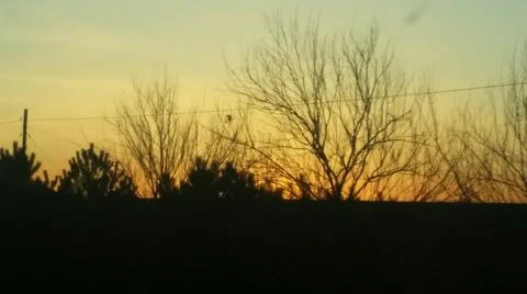 Sunset on the road with trees Foto stock
