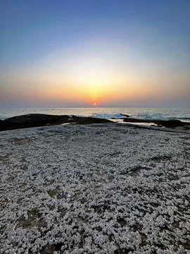 Sunset Rocks Beach Stock Photos