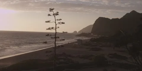 Sunset with Rolling Beach Waves Video stock 13134410