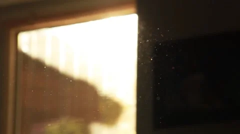 Sunset in room full of light dust particles Stock Footage 49329839