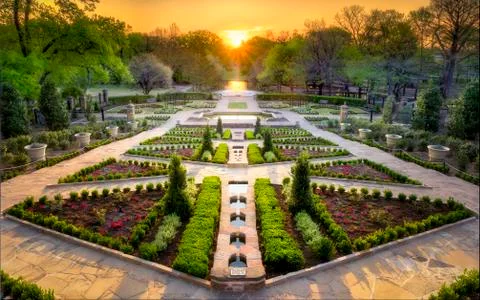 Sunset in the Rose Garden Stock Photos