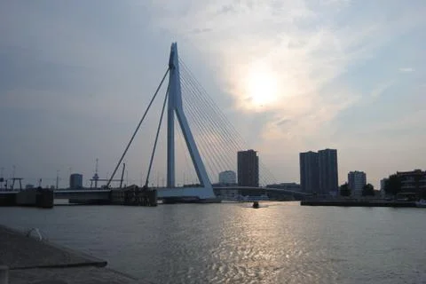 Sunset in Rotterdam. Stock Photos