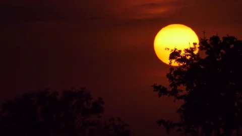 Sunset at rural. 库存影片 121876730