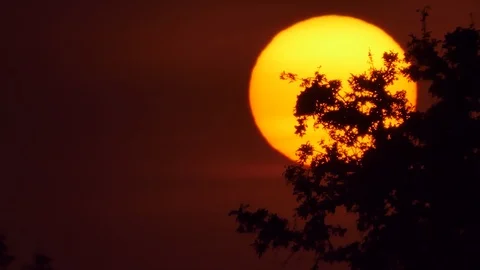 Sunset at rural. 库存影片 121876742