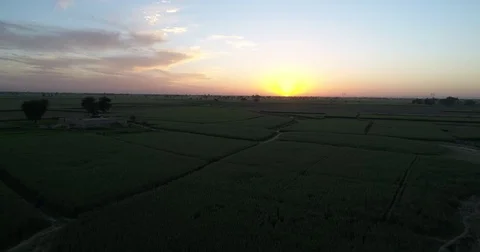 Sunset Rural Horizon Stock Footage 77246897