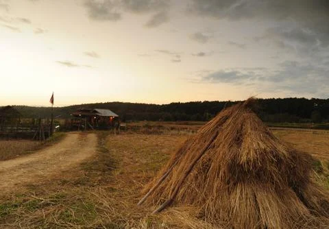Sunset rural landscape. Stock Photos