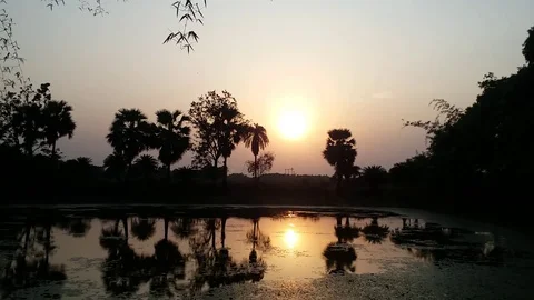 Sunset Rural Pond Stock Footage 108538722