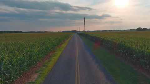 Sunset on Rural Road Through Farm Land Vidéo 159437598