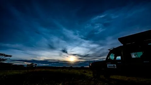 Sunset Safari Stock Photos