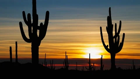 Sunset In Saguaro National Park, Time Lapse with Colorful Clouds Stock Footage 159595553