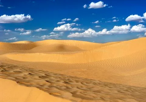Sunset in the Sahara. Stock Photos