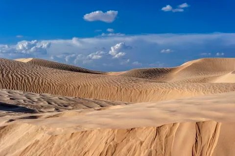 Sunset in the Sahara. Stock Photos